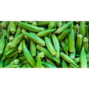 Fournisseur en gros d'okra frais biologique, nettoyé, trié et classé, de qualité supérieure, pour les fabricants et distributeurs d'aliments. - Product Image 3