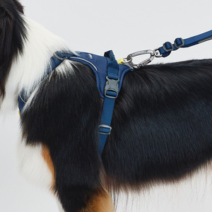[MUNIKUND] Correa para Perro Trektail Hyper Resistente, Ajustable, Estilo Urbano, con Agarre de Neopreno Suave - Product Image 5