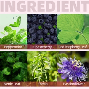 ชาสมุนไพรเพื่อสุขภาพผู้หญิง OEM ODM พร้อมส่ง ชาเปปเปอร์มินต์ผสมใบราสเบอร์รี่แดง บำรุงสุขภาพผู้หญิง บรรจุ 15 ซอง - Product Image 6