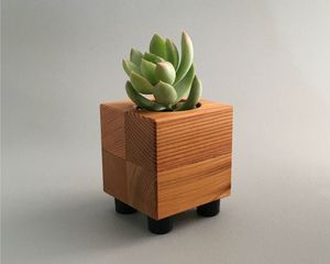 Juego de Soportes para Plantas de Madera Mini, Modernos, Minimalistas, Hechos a Mano, Calidad Premium, Precio de Fábrica al por Mayor - Product Image 1