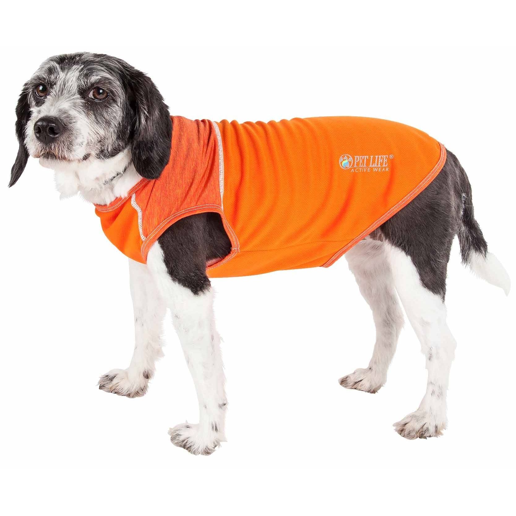 Orange Color
