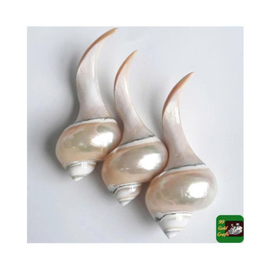 Support et repose-baguettes durables en coquillages naturels faits à la main, style vintage, pour restaurants, hôtels, maisons, marchés de gros - Product Image 5