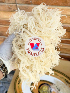 Algues Marines Dorées Golden Yellow Cottonii de Haute Qualité, Séchées au Soleil, Sans Arêtes, Stabilisant pour Aliments et Boissons - Product Image 5