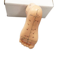 Modèle d'acupuncture des pieds de médecine chinoise OEM, 12 cm, modèle de zone de réflexologie des points de science corporelle
