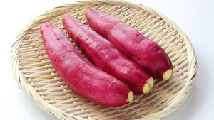 MEILLEUR PRIX DE HAUTE QUALITÉ EXPORTATION DE PATATES DOUCES SÉCHÉES EN VRAC DU VIETNAM EN 2024 - Product Image 2