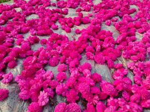 Lotus en tissu artisanal rose vif, moderne et écologique, pour décoration de mariage, fournitures florales et artisanat - Product Image 5