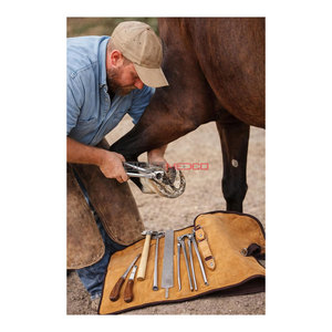 Professional Horse Farrier <b>Tool</b> Kit Complete Hoof Care Grooming Set with Shoe <b>Puller</b> Hoof Nipper Rasp Trimmer Durable Equine - Product Image 6