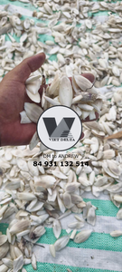 GRAN VENTA: Hueso de Sepia Triturado 0.5-1 cm, Gránulos de Hueso Blanco Marfil Puro para Reptiles y Tortugas, Suplemento de Calcio, Paquete de 5 lbs - Product Image 4
