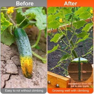 Arco en U para Hortalizas y Flores, Soporte de Jardín para Plantas Trepadoras, Uvas, Verduras y Flores en Macizos Elevados - Product Image 3