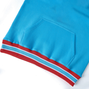 Sudadera con Capucha Personalizada del Instituto del Estado de Delaware, Azul, para Hombre, Talla Grande, Forro Polar, Logotipo 3D en Relieve, Estilo Universitario Griego - Product Image 4
