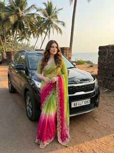 Tissu Fendi Sartin très doux et élégant, au look riche, avec de magnifiques broderies, travail de sequins de 3 mm, bordure épaisse avec motifs boutis. - Product Image 6