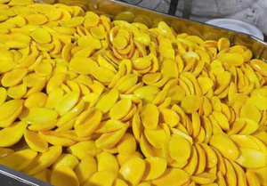 Mangues séchées vietnamiennes saines, faibles en sucre, naturellement sucrées, collation de fruits tropicaux, fournisseur en gros - Product Image 5