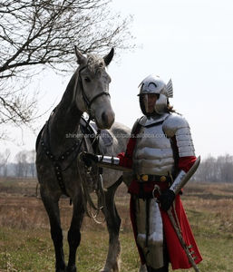 Costume d'armure de chevalier hussard médiéval finition argentée reconstitution historique guerrier complet costume d'armure complète acier de calibre 18 - Product Image 3