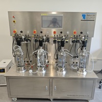 Bioréacteurs en verre Bailun 4L-4 adaptables pour divers fermenteurs microbiens en verre