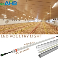 Éclairage pour volailles, lampes pour poulets, IP67 étanche, 9W-21W, système d'éclairage pour poulaillers, enclos à porcs, poulaillers