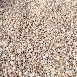 Vietnamese Cashew Kernels Kaju SANTIGO Caju Custom Service Available Cashew <b>Nuts</b> Broken - Product Image 1