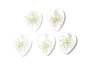 White Laceflower Real Specimen Plastic Cabochon Heart 17x21 mm Clear Flat Bottom <b>for</b> Crafts and Jewelry Making - Product Image 6