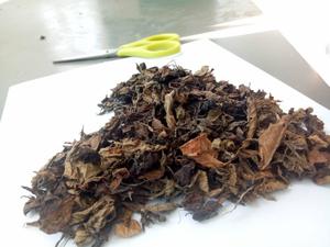 ผงเจลลี่หญ้าดำ ผงเจลลี่หญ้าดำ ผงเจลลี่หญ้าดำ เวียดนาม เครื่องดื่ม วัตถุดิบทำขนมหวาน - Product Image 4