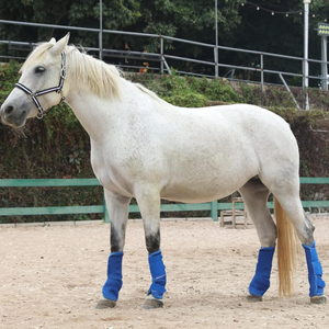 Botas de Protección para Caballos de Primera Calidad Hechas en Pakistán, 4 Piezas, Botas de Protección para Tendones y Patas de Caballo - Product Image 3