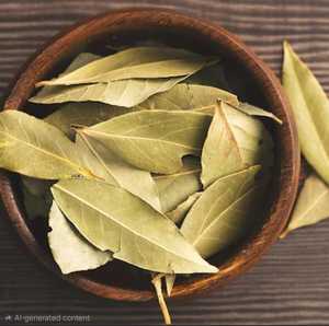 Feuilles de Laurier de Qualité Supérieure, Naturelles, Fraîches et Entières pour la Cuisine, la Transformation Alimentaire et la Vente en Gros d'Ingrédients Épicés - Product Image 5