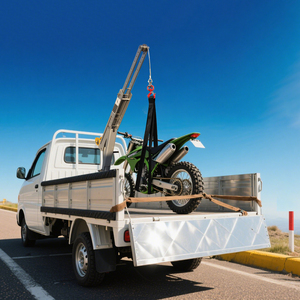 Grúa de pescante plegable que ahorra espacio, núcleo de engranaje de capacidad de 400kg-800kg para veleros, Mini camioneta, furgoneta, remolque, almacenamiento de grúa montada - Product Image 4