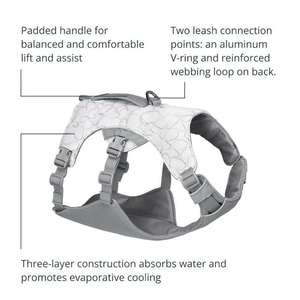 Conjunto de Arnés y Correa Personalizables de Lujo para Perros y Gatos, Transpirables y Amigables con la Piel, con Características Anti-Escape - Product Image 3