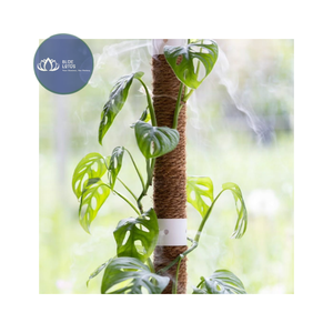 Poste de Musgo de Coco Natural Sostenible, el Más Vendido – Suministro Premium para Soporte de Plantas de Jardín - Product Image 1