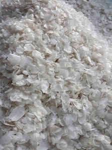 Approvisionnement en gros d'écailles de poisson séchées pour collagène de qualité pharmaceutique, matière première naturelle nettoyée et séchée au soleil, provenant d'une usine vietnamienne - Product Image 5