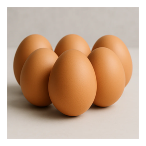 Œufs de poule blancs biologiques frais, prix compétitif, vente en gros, œufs de poule de table frais de la ferme - Product Image 6