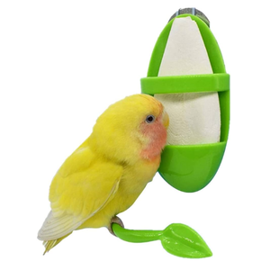 Vente en gros d'os de seiche naturels Fournisseur/Katty - Product Image 6