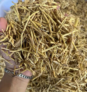 Racine d'Imperata Cylindrica séchée du Vietnam, rhizome d'herbe séché avec soin - Product Image 3
