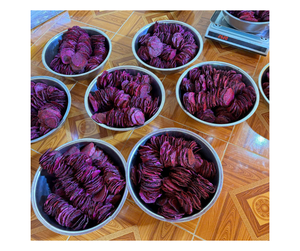 Vietnam Manufacturer Freeze-Dried Dragon Fruit for Export Wholesalers with Stable Sourcing FD Process Bulk & Gift Packing - Product Image 2