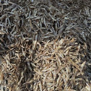 Anchois séchés durables et propres, de haute qualité, très demandés pour la restauration et le traiteur - Product Image 3