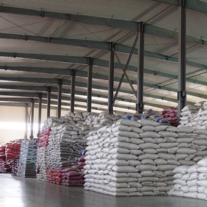 Graines <span class=keywords><strong>de</strong></span> melon <span class=keywords><strong>à</strong></span> taux <span class=keywords><strong>de</strong></span> germination élevé, rendement élevé en huile, non-OGM, résistantes <span class=keywords><strong>à</strong></span> la sécheresse et <span class=keywords><strong>à</strong></span> la chaleur, séchées, sac <span class=keywords><strong>de</strong></span> 25 kg pour l'horticulture - Product Image 5