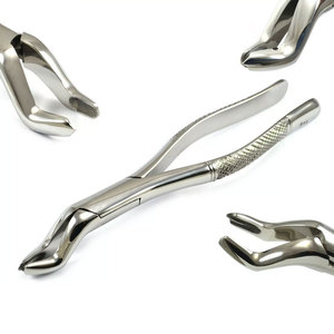 Achetez des forceps chirurgicaux pour l'extraction dentaire Fig.53L pour les molaires supérieures, avec poignée dentelée antidérapante, forceps d'extraction. - Product Image 1