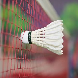 Volants de badminton professionnels de qualité export Vina-Star Classe A en plumes d'oie haute durabilité, vitesse 76 77 78 - Product Image 5