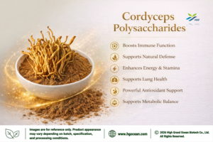 Fourniture directe d'usine HGO d'extrait de mycélium de Cordyceps naturel pur (qualité alimentaire) Spécification Cordyceps Polysaccharides 50% - Product Image 2