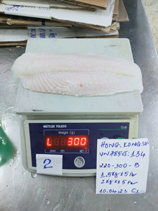Pangasius Congelado IQF Disponible en Tamaños Personalizados, Filete Premium con Piel de Vietnam, envasado a granel, con acabado brillante, 10 kg/caja - Product Image 2