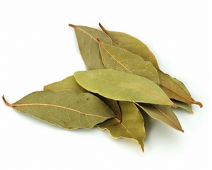 Hoja de Laurel Entera Seca (Tej Patta) para Cocinar Curry, Sopa, Biryani - Especia Natural Aromática para Cocina - Suministro a Granel - Product Image 3