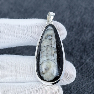 Pendentif Orthocères en argent sterling 925 plaqué, bijoux faits à la main, cadeau pour elle - Product Image 1