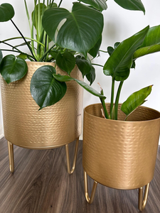 Macetero de Metal Martillado con Soporte Dorado Claro Mate, Maceta Decorativa Moderna para Plantas de Interior, Sala de Estar, Oficina - Product Image 2
