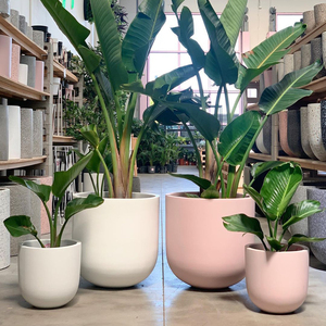 Planteur extérieur moderne léger de haute qualité nouveaux pots de fleurs jardinières-céramique durable pour la maison de jardin en gros du Vietnam - Product Image 4