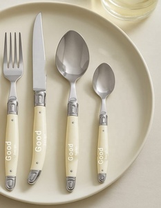 Luxury Modern Design Horn Handle Mirrored Steel Portable <b>Flatware</b> Set Natural Horn Acrylic Handle Wedding & Party Spoons - Product Image 1