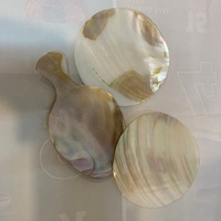 Plat en nacre naturelle pour le dîner avec porte-cuillère pratique
