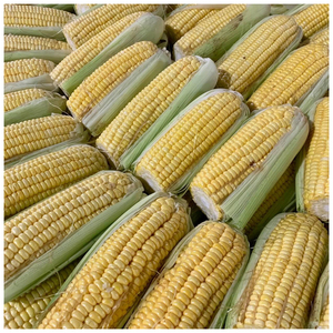 ข้าวโพดหวานสีเหลืองขายส่ง ไม่ใช่พืช GMO ข้าวโพดกระป๋องสีเหลือง 185 กรัม - Product Image 4