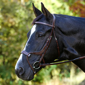 Bridon de saut d'obstacles anatomique noir et marron de luxe en cuir pour chevaux anglais Cob et Dressage - Product Image 3