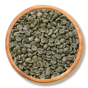 Vietnam Premium Arabica Screen 16 Fully Washed Green Coffee Beans - 60kg PP Bag HALAL, HACCP & ISO 22000:2018 Certified - Product Image 1