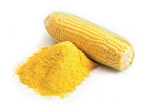 Farine de maïs jaune séchée non glutineuse / Poudre de gruau (Disponible en différentes granulométries, du gruau grossier à la farine ultra-fine) - Product Image 2