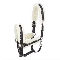 Harnais de cheval en nylon bordeaux avec rembourrage en polaire blanc et boucles métalliques pour l'équitation et l'entraînement - Product Image 2