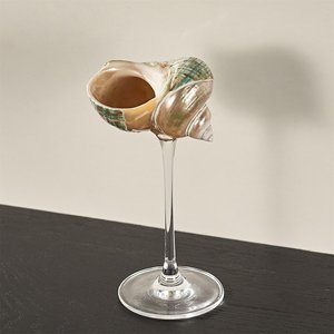 Copas de champán al precio más bajo, de concha marina pulida, para vino y bebidas, de Vietnam. - Product Image 6